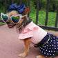 Nautical Dress Pink