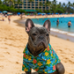 Hawaiian Camp
