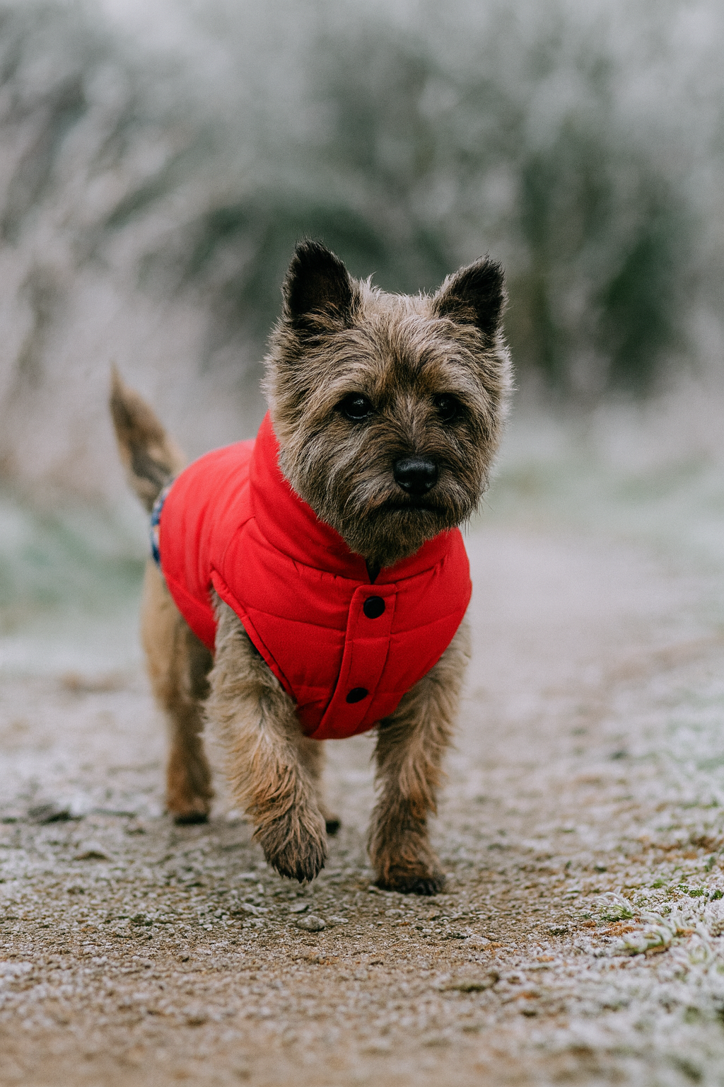 Plaid Reversible Jacket
