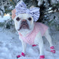 Polka Dot Jacket, Pink