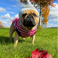 Striped Pom Pom Hoodie, Red
