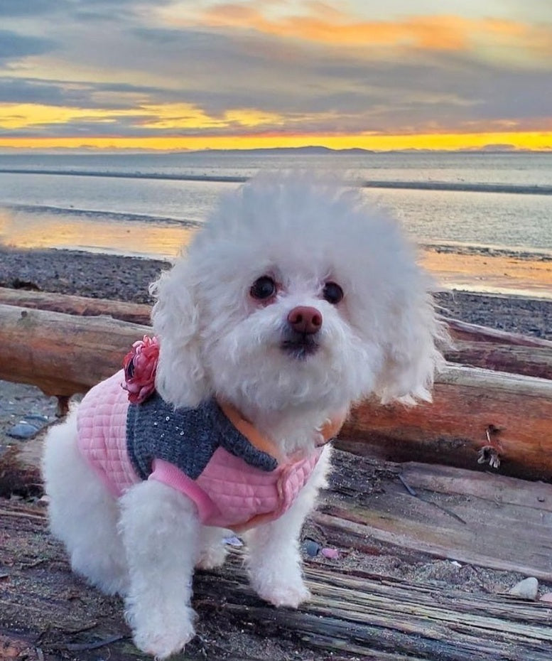 Fancy Flower Quilted Jacket, Pink