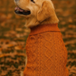 Cable Knit Sweater, Terracotta
