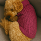 Cable Knit Sweater, Raspberry