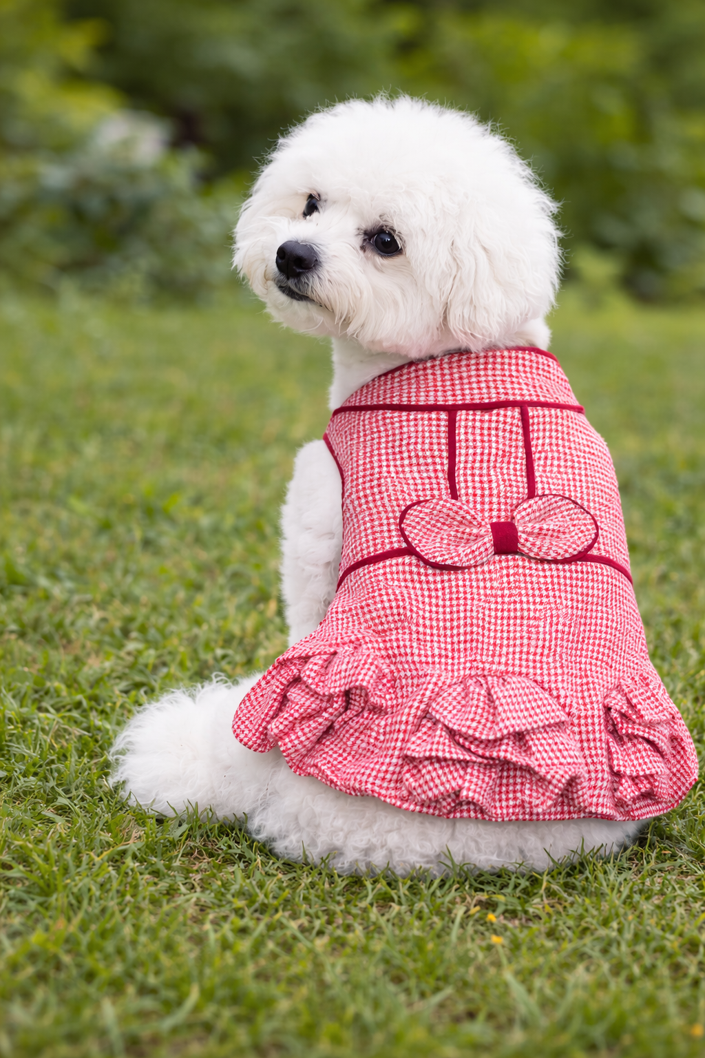 Houndstooth Ruffles Dress - Red