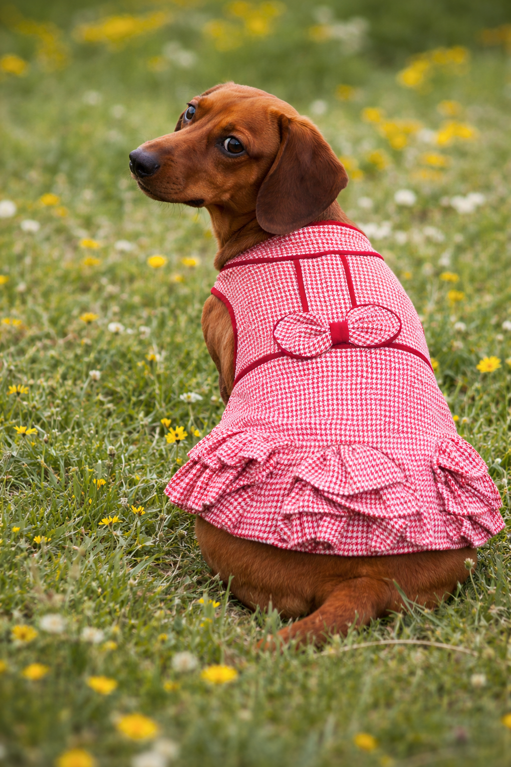 Houndstooth Ruffles Dress - Red