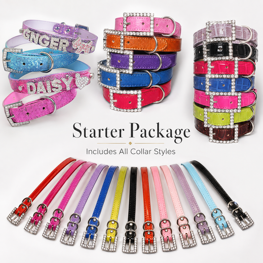 Starter Pack of Personalized Collars
