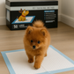 Parisian Pet Premium Training Pads Box - 50 Pads