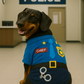 Officer Woof