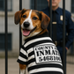 Furry Inmate