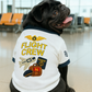 Flight Crew