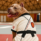 Karate Academy