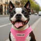 Freedom Harness - Pink