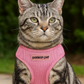 Freedom Harness - Pink