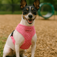 Freedom Harness - Pink Dot