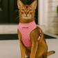 Freedom Harness - Pink Dot
