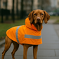 Raincoat - Orange