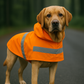 Raincoat - Orange