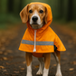 Raincoat - Orange