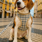 Freedom Harness, Khaki Plaid