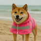 Raincoat - Pink