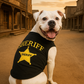 Sheriff