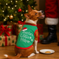 Santa's Little Helper
