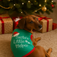 Santa's Little Helper
