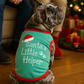 Santa's Little Helper