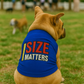 Size Matters