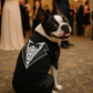 Tuxedo