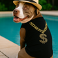 Bling $