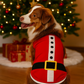 Santa's Outfit