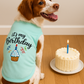 Birthday Boy