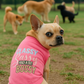 Classy, Sassy and a bit Bossy