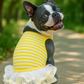 Ballerina Dress