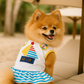 Boat Dress
