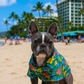 Hawaiian Camp
