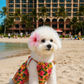 Hawaiian Dress
