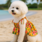 Hawaiian Dress