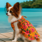 Hawaiian Dress