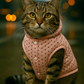 Polka Dot Jacket, Pink