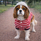 Striped Pom Pom Hoodie, Red