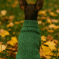 Cable Knit Sweater, Green
