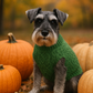 Cable Knit Sweater, Green