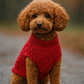 Cable Knit Sweater, Red