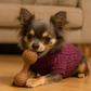 Cable Knit Sweater, Raspberry