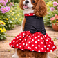 Red Dots Minnie Dress